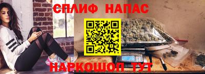 мяу мяу мука Будённовск