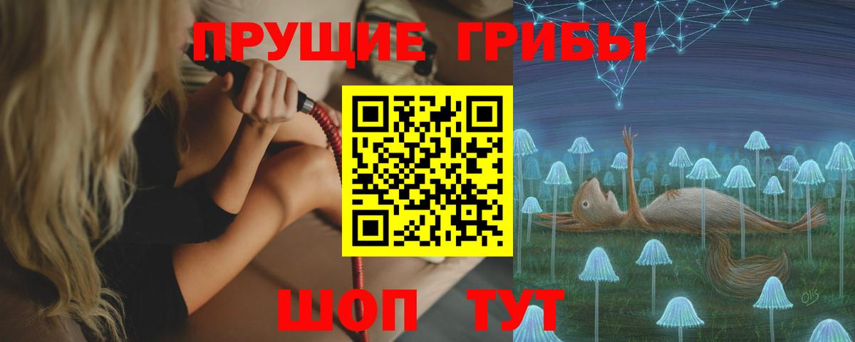 Псилоцибиновые грибы MAGIC MUSHROOMS  Вход с VPN  Иркутск 